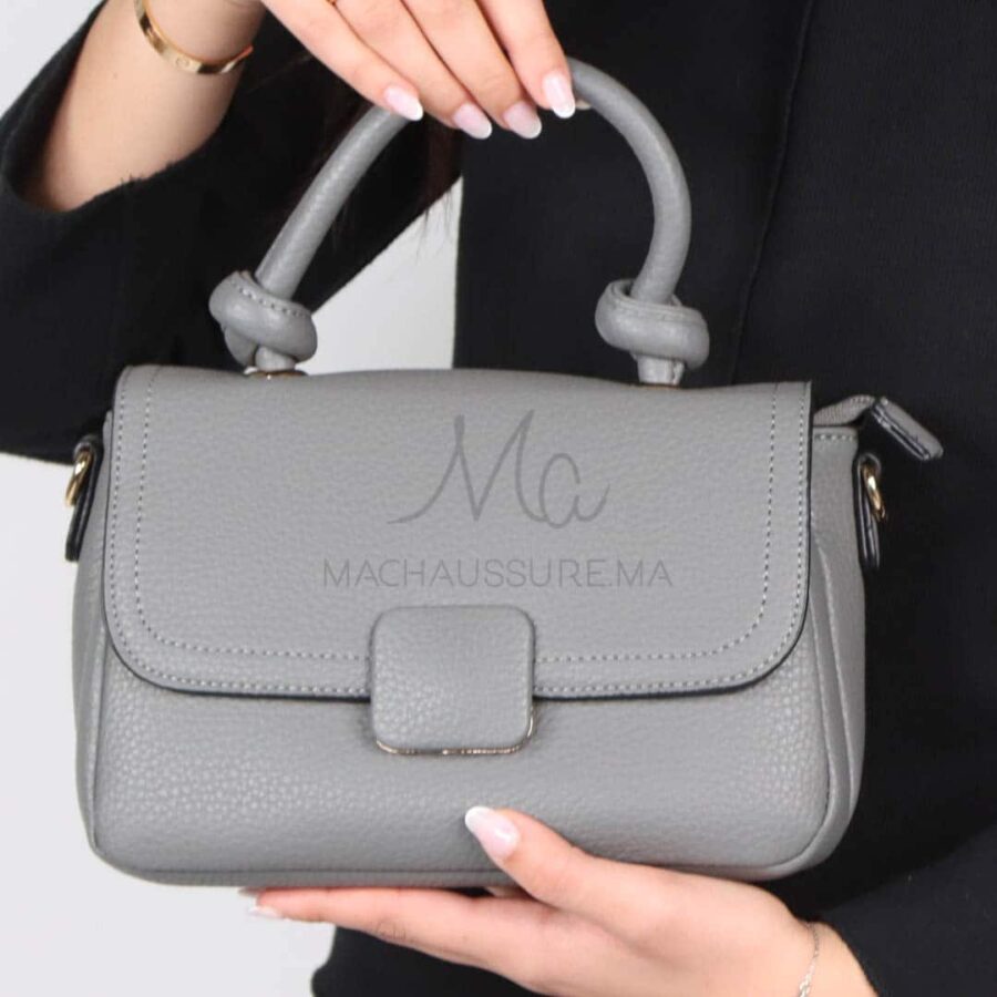 Sophistiqué – Sac à main en Gris.