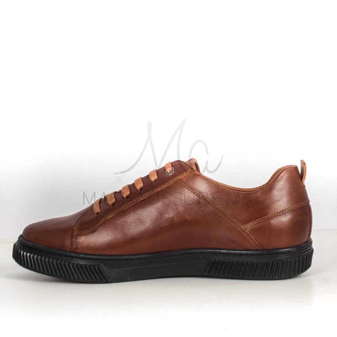 Asher Baskets Basses en cuir - Tabac.