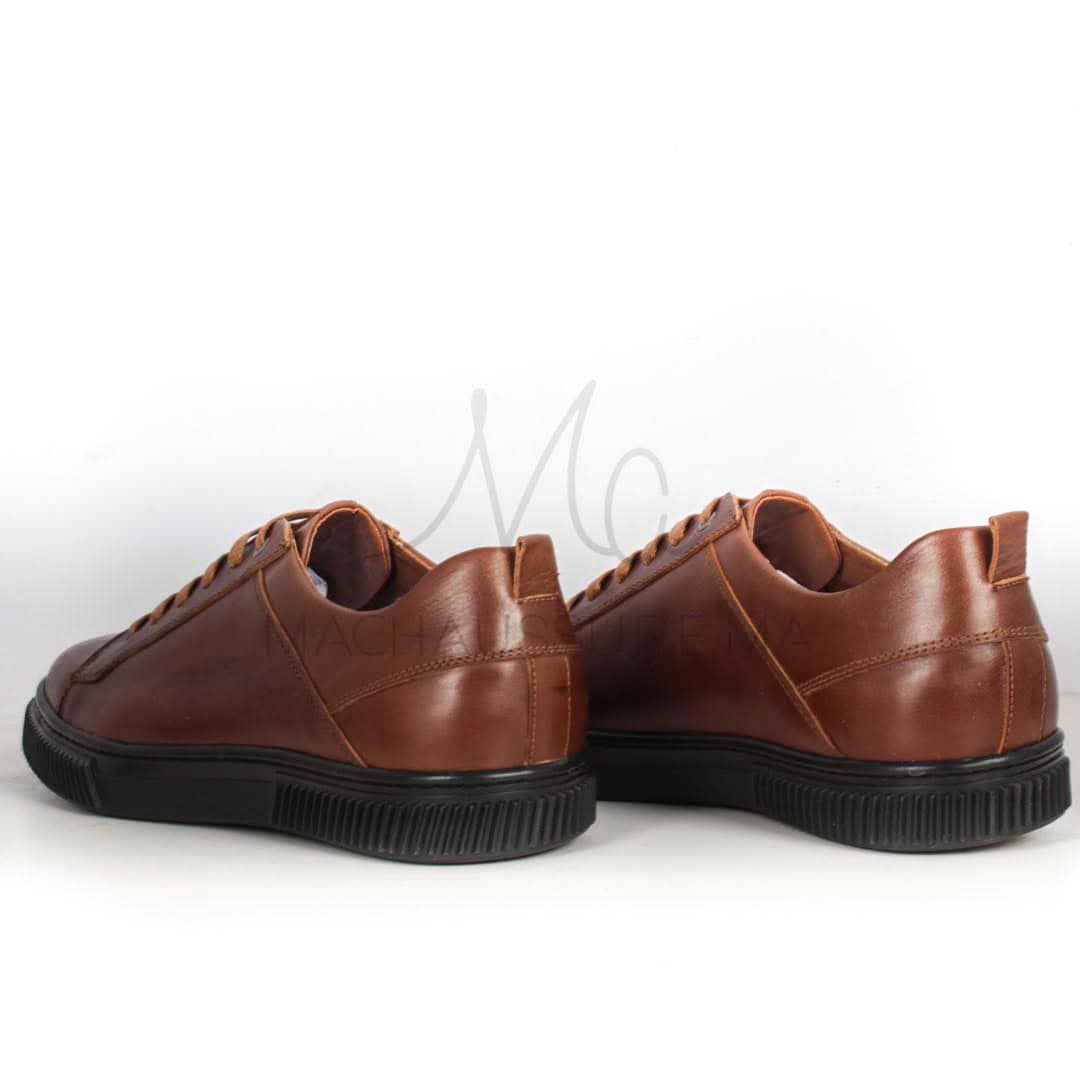 Asher Baskets Basses en cuir - Tabac.